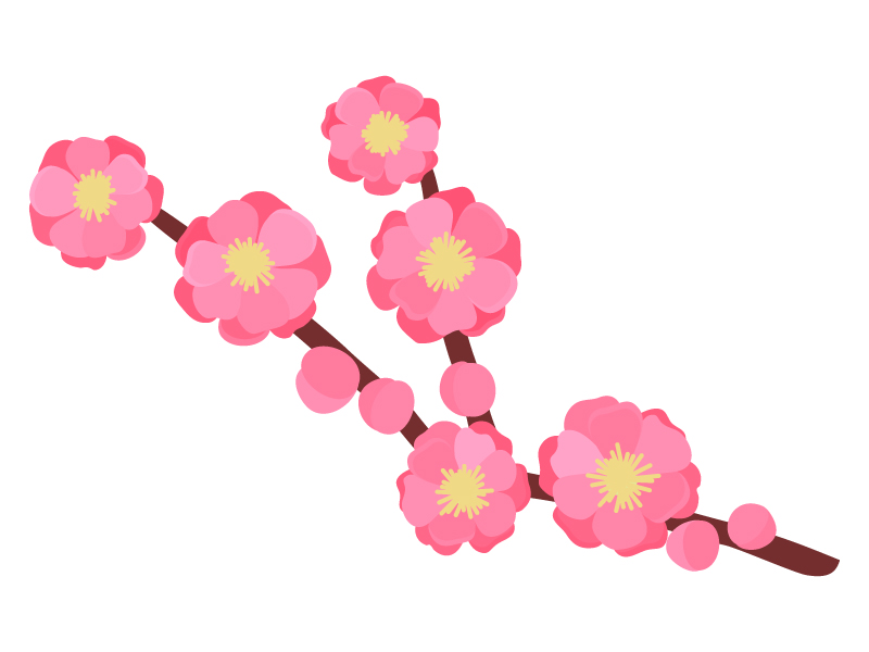 枝付きの桃の花のイラスト