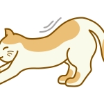 シニア向けのお弁当宅配サービスのイラスト イラスト無料 かわいいテンプレート