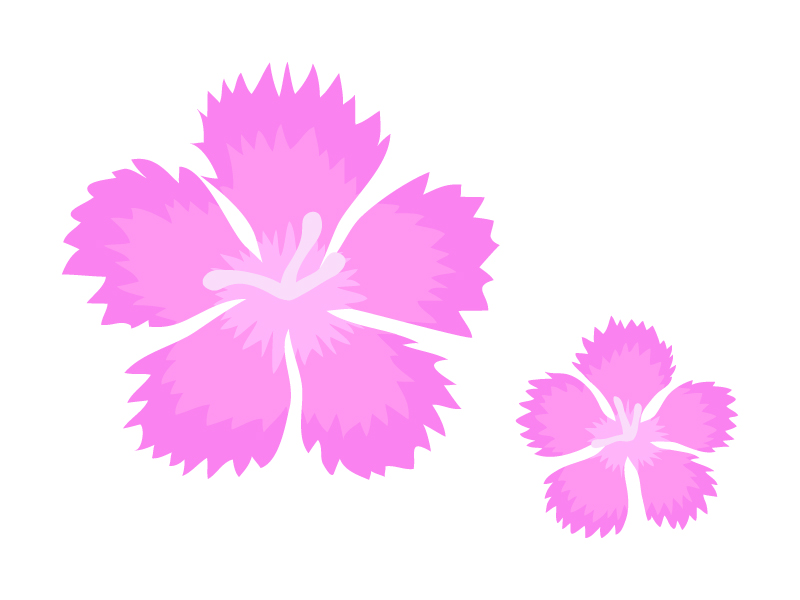 なでしこ（撫子）の花のイラスト