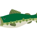 魚 全てのイラストが無料 かわいいテンプレート 魚 全てのイラストが無料 かわいいテンプレート