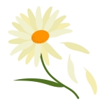 日本国旗 日の丸旗イラスト素材 イラスト無料 かわいいテンプレート 日本国旗 日の丸旗イラスト素材 イラスト無料 かわいいテンプレート