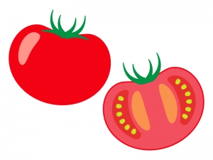 半分にカットしたトマトのイラスト イラスト無料 かわいいテンプレート
