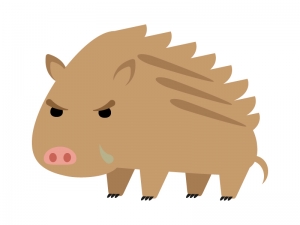 イノシシ 猪 のイラスト イラスト無料 かわいいテンプレート