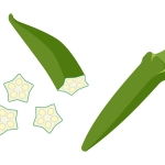 学校給食のイラスト イラスト無料 かわいいテンプレート 学校給食のイラスト イラスト無料 かわいいテンプレート